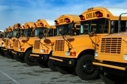 School Bus Image